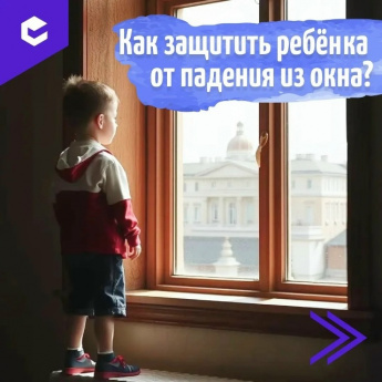 Лето, открытые окна и желание проветрить квартиру — привычная картина...