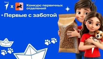 Акция 4 лапы 