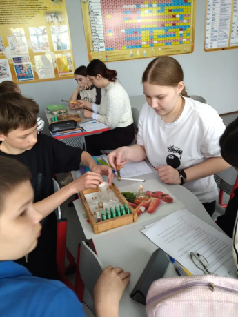 Практическая работа по химии: получение медного купороса