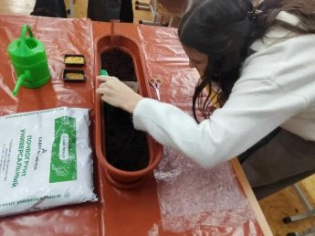 Основные этапы и методика посадки и выращивания семян овощных культур
