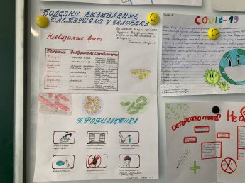 Просветительская работа по биологии в 5-х классах на тему: " Болезни вызываемые бактериями у человека и меры их профилактики"
